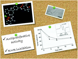 Graphical abstract: A highly cytotoxic modified paullone ligand bearing a TEMPO free-radical unit and its copper(ii) complex as potential hR2 RNR inhibitors