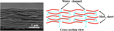 Graphical abstract: Laminar MoS2 membranes for molecule separation