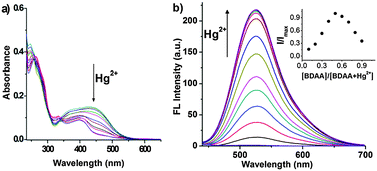 Graphical abstract: An unusual OFF–ON fluorescence sensor for detecting mercury ions in aqueous media and living cells