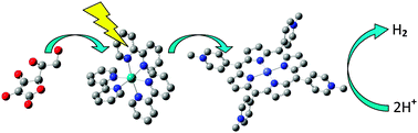 Graphical abstract: Efficient photocatalytic hydrogen generation from water by a cationic cobalt(ii) porphyrin