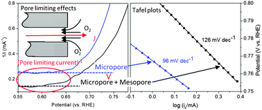 Graphical abstract: Ionic liquid derived carbons as highly efficient oxygen reduction catalysts: first elucidation of pore size distribution dependent kinetics