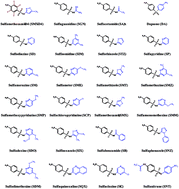 Graphical abstract: A multi-residue analysis of sulphonamides in edible animal tissues using QuEChERS extraction and HPLC-MS/MS