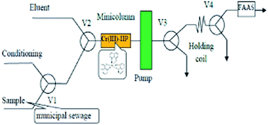 Graphical abstract: Multi-commutation flow system with on-line solid phase extraction exploiting the ion-imprinted polymer and FAAS detection for chromium speciation analysis in sewage samples