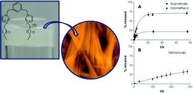 Graphical abstract: Supramolecular gels based on a gemini imidazolium amphiphile as molecular material for drug delivery