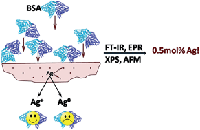 Graphical abstract: Addressing the optimal silver content in bioactive glass systems in terms of BSA adsorption