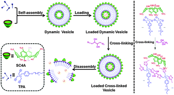Graphical abstract: Facile fabrication of cross-linked vesicle via “surface clicking” of calixarene-based supra-amphiphiles