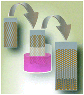 Graphical abstract: Solution and air stable host/guest architectures from a single layer covalent organic framework