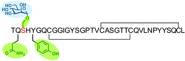 Graphical abstract: Molecular-scale features that govern the effects of O-glycosylation on a carbohydrate-binding module