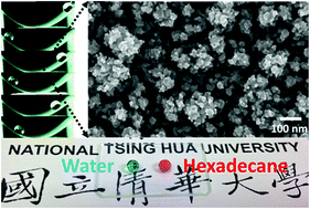 Graphical abstract: Stalagmite-like self-cleaning surfaces prepared by silanization of plasma-assisted metal-oxide nanostructures