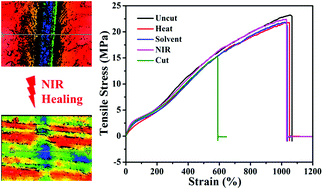 Graphical abstract: Multi-stimuli-responsive self-healing metallo-supramolecular polymer nanocomposites