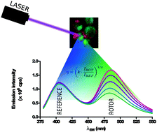 Graphical abstract: Ratiometric mechanosensitive fluorescent dyes: design and applications