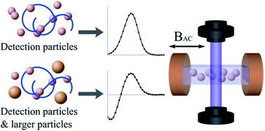 Graphical abstract: Multi-scale magnetic nanoparticle based optomagnetic bioassay for sensitive DNA and bacteria detection