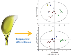 Graphical abstract: Geographical differentiation of a monovarietal olive oil using various chemical parameters and mid-infrared spectroscopy