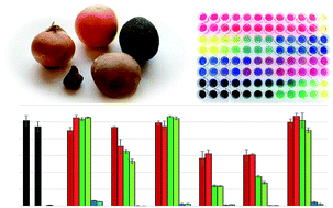 Graphical abstract: High-throughput analysis of endogenous fruit glycosyl hydrolases using a novel chromogenic hydrogel substrate assay