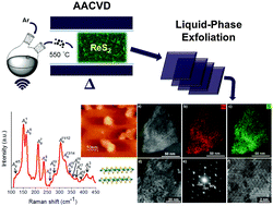 Graphical abstract: Sequential bottom-up and top-down processing for the synthesis of transition metal dichalcogenide nanosheets: the case of rhenium disulfide (ReS2)