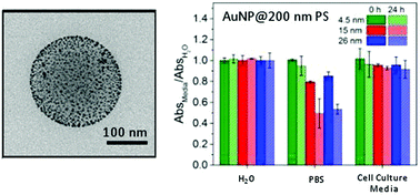 Graphical abstract: Multifunctional and robust composite materials comprising gold nanoparticles at a spherical polystyrene particle surface