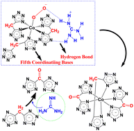 Graphical abstract: Carbonyl-bridged energetic materials: biomimetic synthesis, organic catalytic synthesis, and energetic performances
