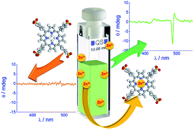 Graphical abstract: Effect of zinc cations on the kinetics of supramolecular assembly and the chirality of porphyrin J-aggregates