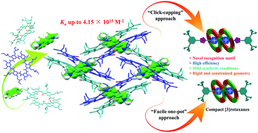 Graphical abstract: Macrocyclic shape-persistency of cyclo[6]aramide results in enhanced multipoint recognition for the highly efficient template-directed synthesis of rotaxanes