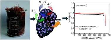 Graphical abstract: N-, P- and Fe-tridoped nanoporous carbon derived from plant biomass: an excellent oxygen reduction electrocatalyst for zinc–air batteries