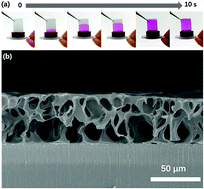 Graphical abstract: Dynamic spongy films to immobilize hydrophobic antimicrobial peptides for self-healing bactericidal coating