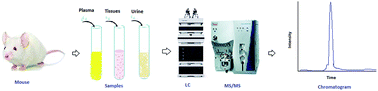 Graphical abstract: LC-MS/MS based quantitation of ciprofloxacin and its application to antimicrobial resistance study in Balb/c mouse plasma, urine, bladder and kidneys