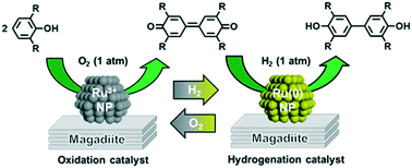 Graphical abstract: A dual-functional heterogeneous ruthenium catalyst for the green one-pot synthesis of biphenols
