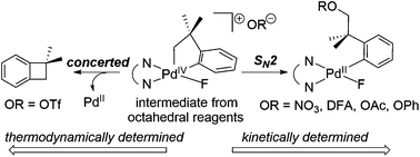 Graphical abstract: Computational study of C(sp3)–O bond formation at a PdIV centre