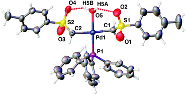 Graphical abstract: Polymer [Pd(CH2SO2C6H4Me)2]n, a precursor to remarkably stable Pd organometallics