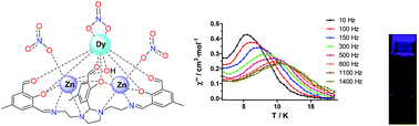 Graphical abstract: Improving the SMM and luminescence properties of lanthanide complexes with LnO9 cores in the presence of ZnII: an emissive Zn2Dy single ion magnet