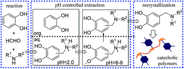 Graphical abstract: Synthesis of functional catechols as monomers of mussel-inspired biomimetic polymers