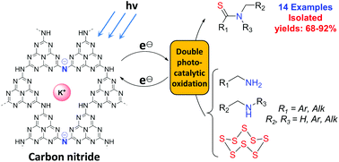 Graphical abstract: Carbon nitride creates thioamides in high yields by the photocatalytic Kindler reaction