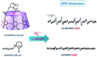 Graphical abstract: Synthesis and properties of a series of β-cyclodextrin/nitrone spin traps for improved superoxide detection