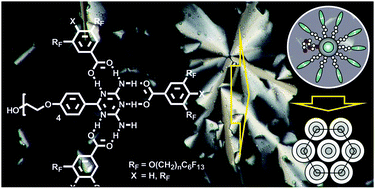 Graphical abstract: Hydrogen-bonded mesomorphic complexes combining hydrophilic and fluorophilic molecular segments