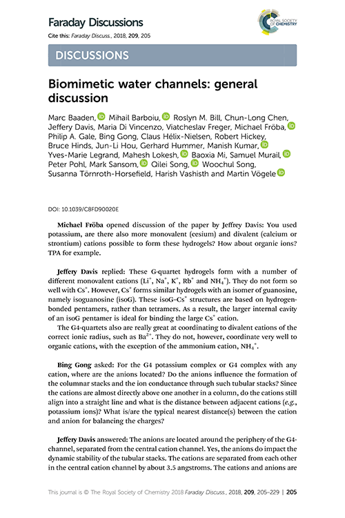 Biomimetic water channels: general discussion