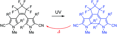 Graphical abstract: Thermally reversible photochromism of dipyrrolylethenes