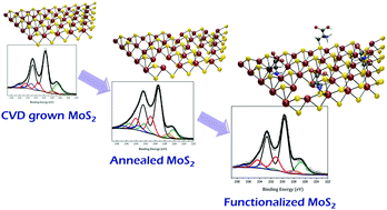 Graphical abstract: Photoemission spectroscopy study of structural defects in molybdenum disulfide (MoS2) grown by chemical vapor deposition (CVD)