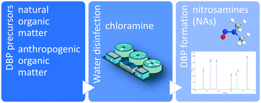 Graphical abstract: Occurrence of N-nitrosamines and their precursors in Spanish drinking water treatment plants and distribution systems