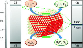 Graphical abstract: Simultaneous enzyme mimicking and chemical reduction mechanisms for nanoceria as a bio-antioxidant: a catalytic model bridging computations and experiments for nanozymes