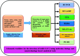 Graphical abstract: An overview of molecular biology and nanotechnology based analytical methods for the detection of SARS-CoV-2: promising biotools for the rapid diagnosis of COVID-19