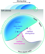 Graphical abstract: Nonlinear theory of wetting on deformable substrates