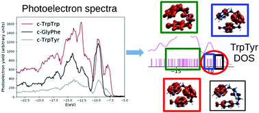 Graphical abstract: A systematic study of the valence electronic structure of cyclo(Gly–Phe), cyclo(Trp–Tyr) and cyclo(Trp–Trp) dipeptides in the gas phase
