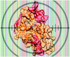 Graphical abstract: Targeting the protease of West Nile virus