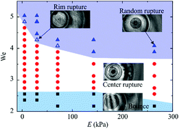 Graphical abstract: Bouncing-to-wetting transition of water droplets impacting soft solids