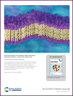 Graphical abstract: Back cover