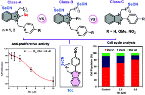 Graphical abstract: Benzimidazole-based ionic and non-ionic organoselenium compounds: innovative synthetic strategies, structural characterization and preliminary anti-proliferative activities