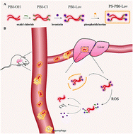 Graphical abstract: H2O2-responsive lovastatin nanohybrids based on auto-fluorescent perylene diimide reverse nonalcoholic fatty liver disease