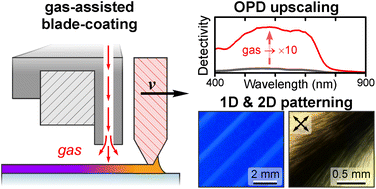 Graphical abstract: Gas-assisted blade-coating of organic semiconductors: molecular assembly, device fabrication and complex thin-film structuring