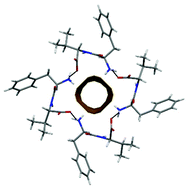 Graphical abstract: Dipeptide self-assembly into water-channels and gel biomaterial