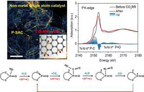 Graphical abstract: Identification of non-metal single atomic phosphorus active sites for the CO2 reduction reaction